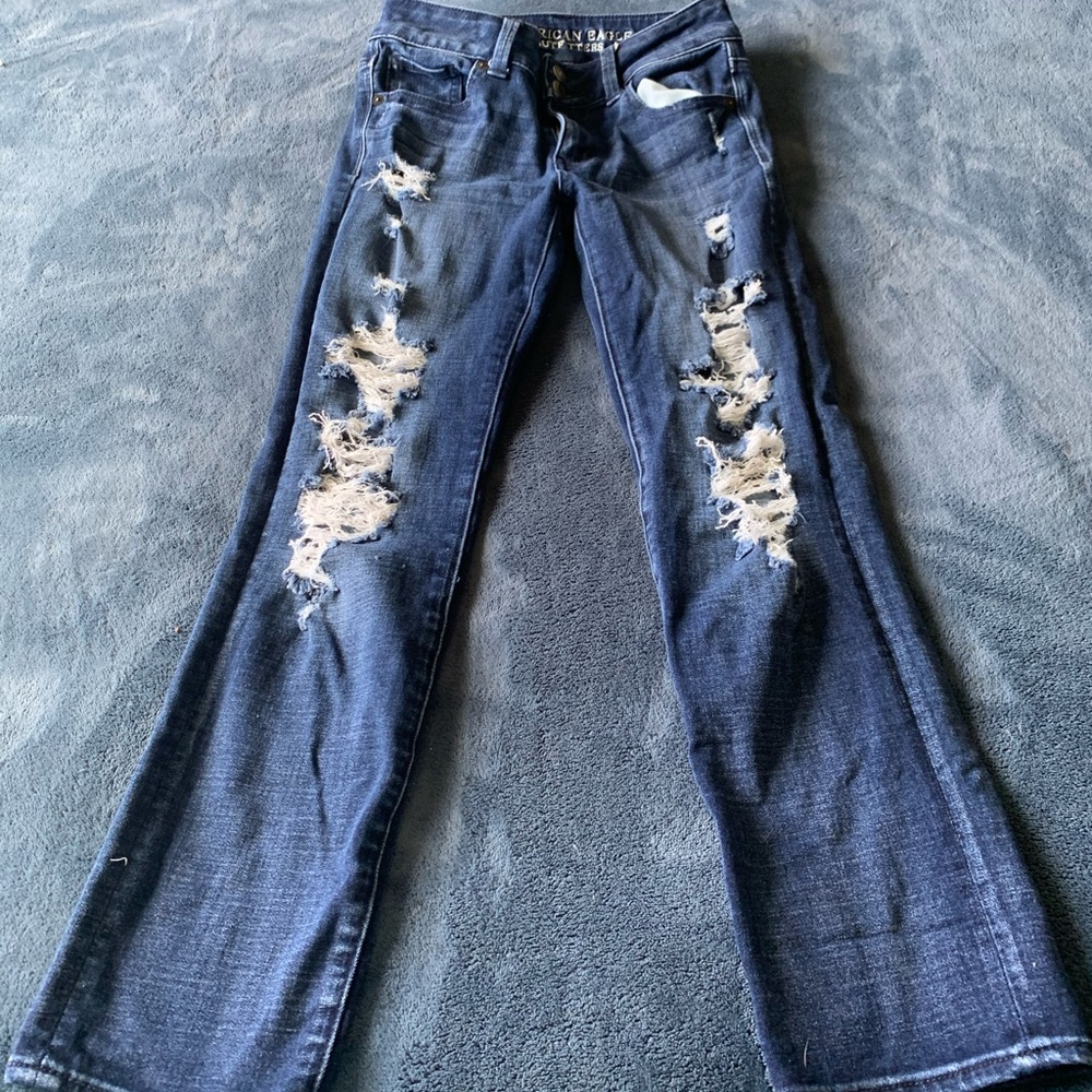 Distressed Artist Crop AE Jeans